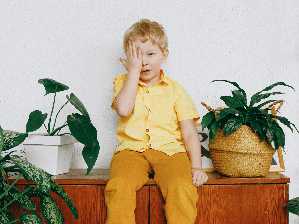 Successful photos of children in a few simple steps